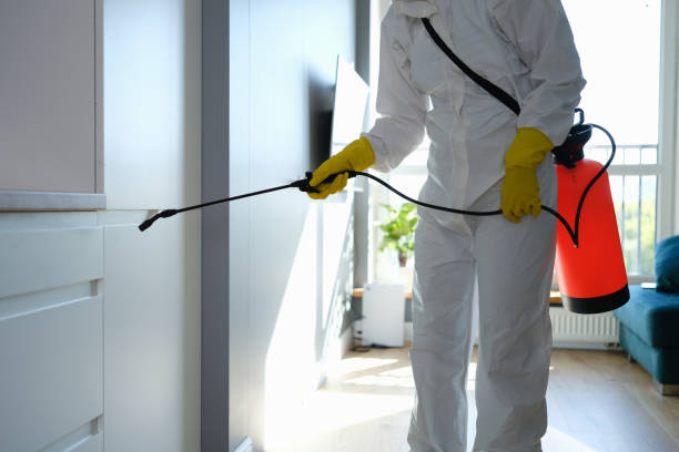 Best Environmental Consulting for Mold Prevention  in Greenville, MI